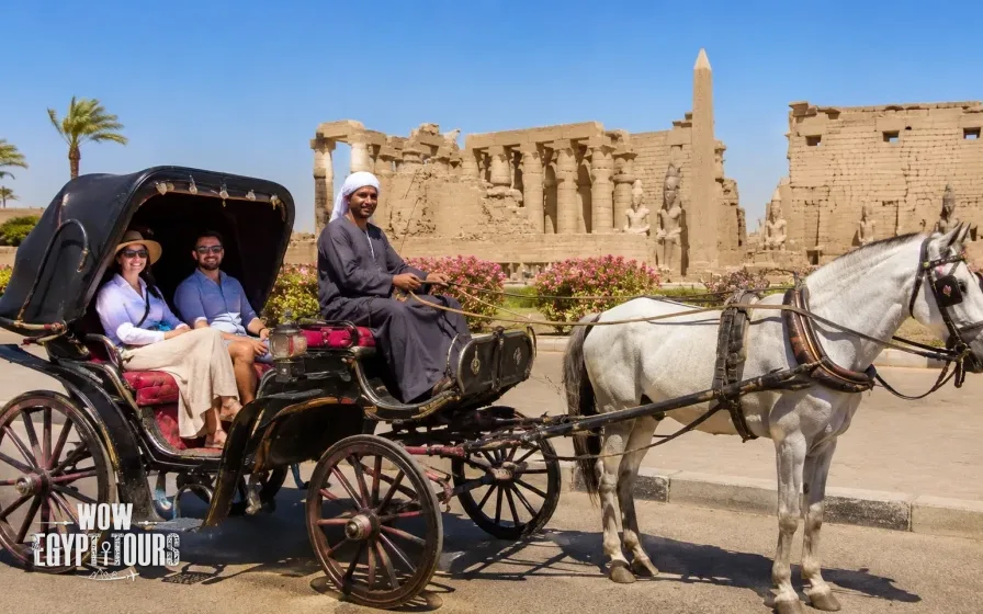 Luxor City Tour by Horse Carriage