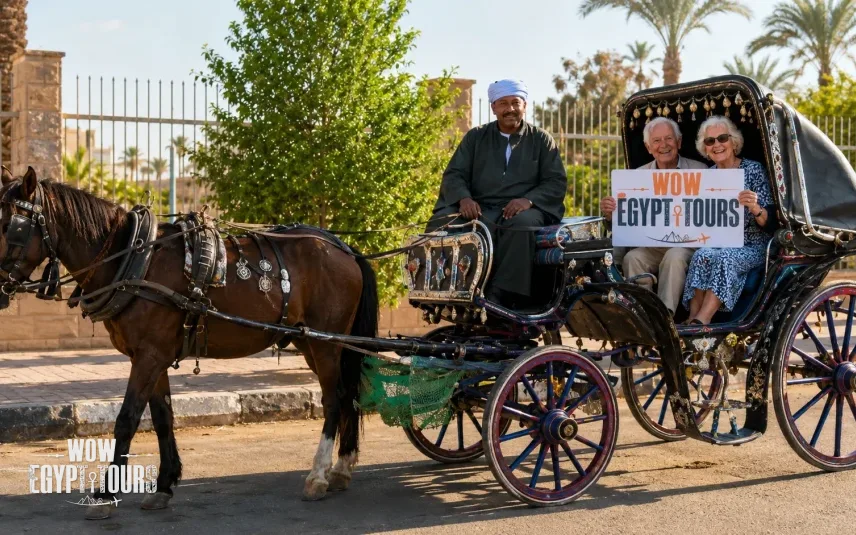 Luxor City Tour by Horse Carriage