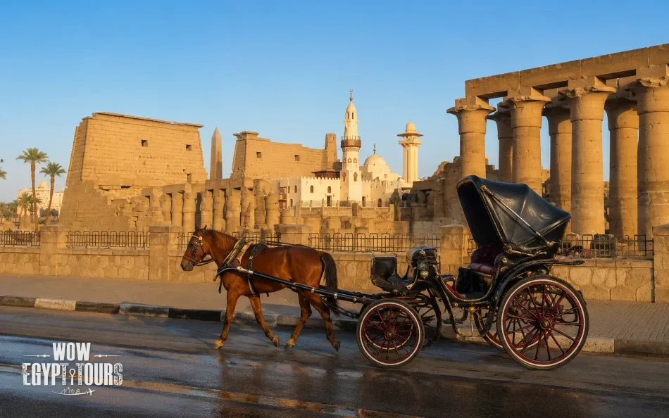 Luxor City Tour by Horse Carriage