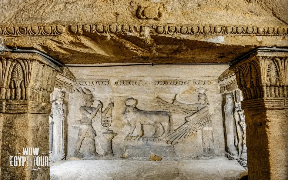 Alexandria Tour from Cairo