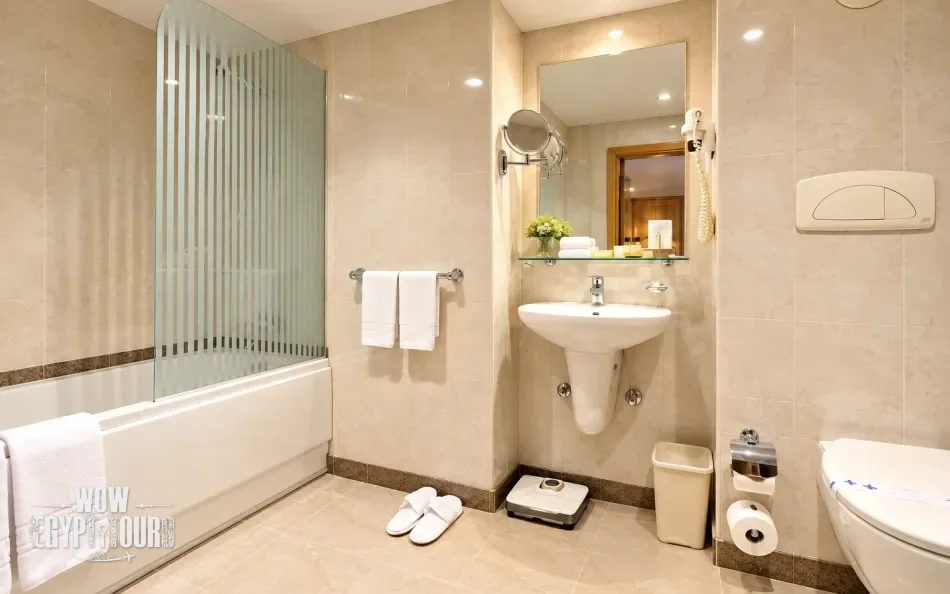 Private cabin bathroom aboard Jaz Crown Emperor Nile Cruise