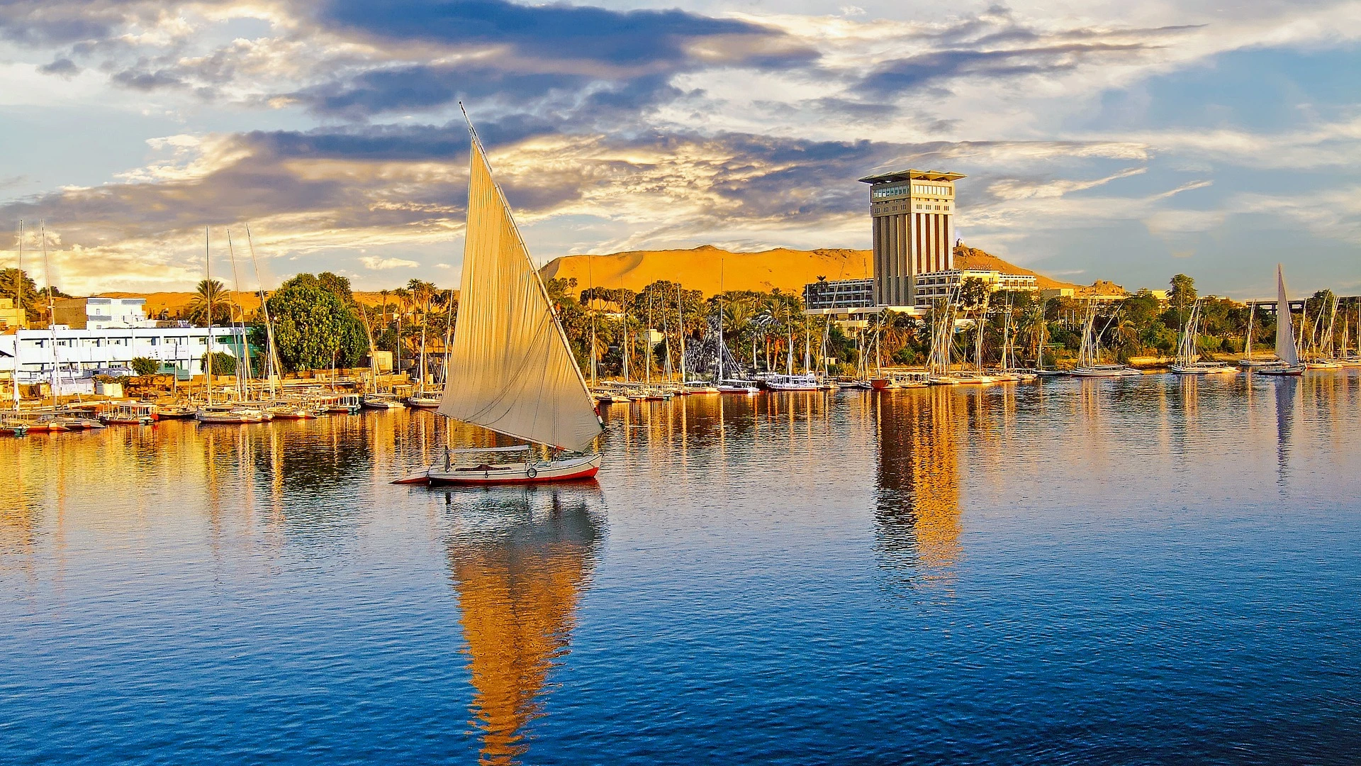 Giza Pyramids and Grand Egyptian Museum Tour